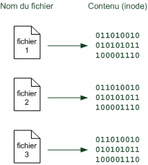 Fichiers associés à des inodes