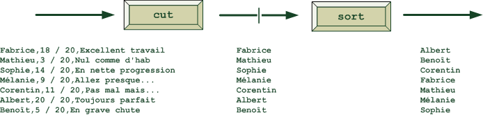 Le pipe effectue la connexion entre deux commandes